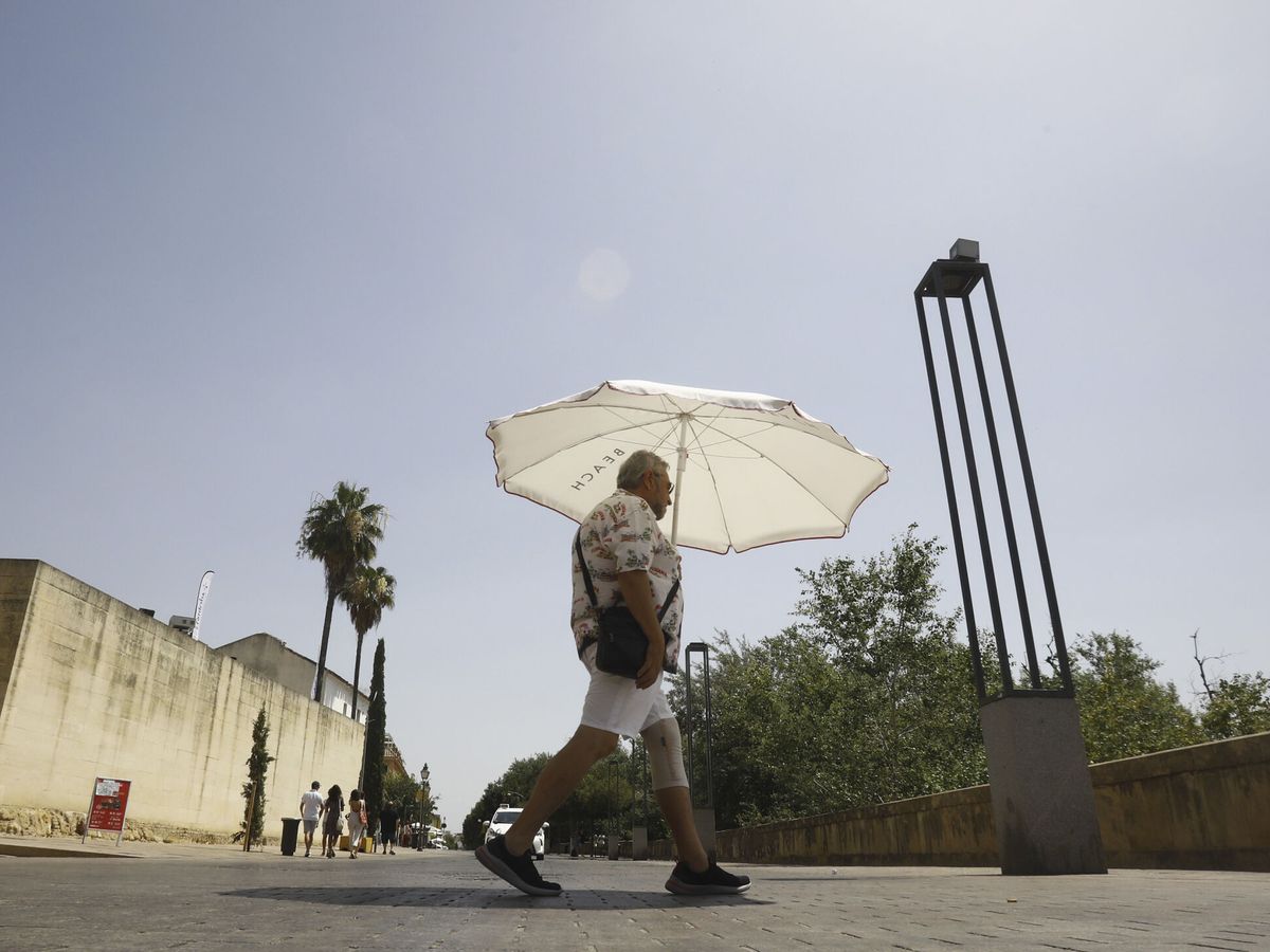 Foto: Un hombre se protege del calor en Córdoba. (EFE/Salas)