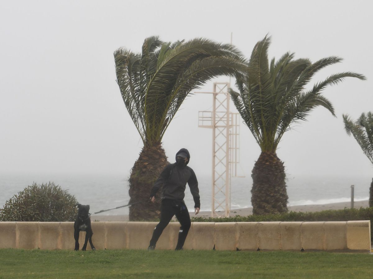 Foto: Una persona pasea a su perro la semana pasada entre fuertes rachas de viento en Almería. (EFE/Carlos Barba)