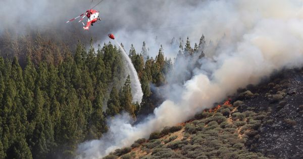 Foto: Un helicóptero en el incendio declarado este sábado en la zona de Artenara en el oeste de la isla de Gran Canaria. (EFE)