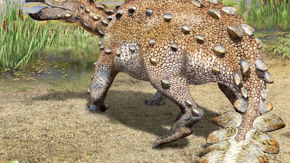 Paleontólogos chilenos descubren una nueva especie de dinosaurio acorazado