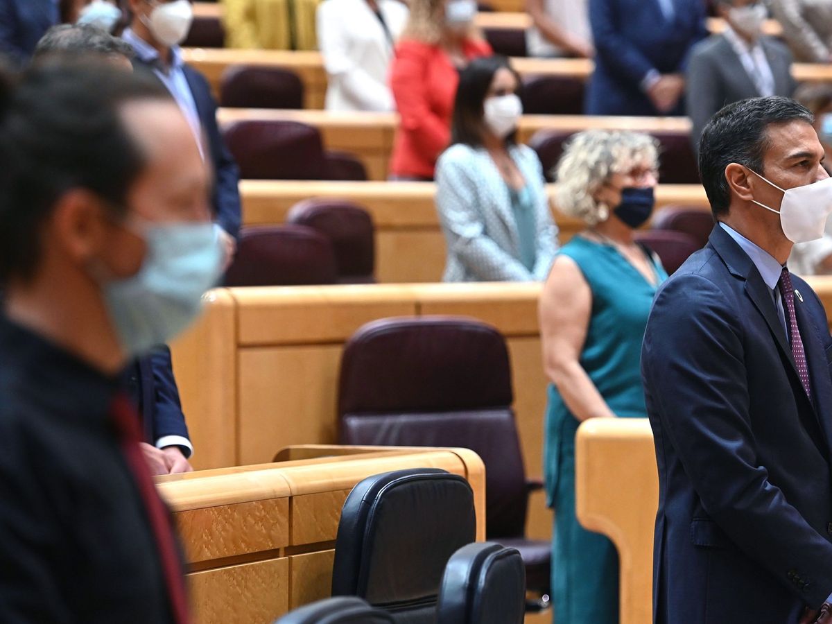 Foto: El presidente del Gobierno, Pedro Sánchez, y el vicepresidente, Pablo Iglesias, en el Senado. (EFE)
