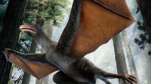 Descubren un pequeño dinosaurio chino con alas de murciélago