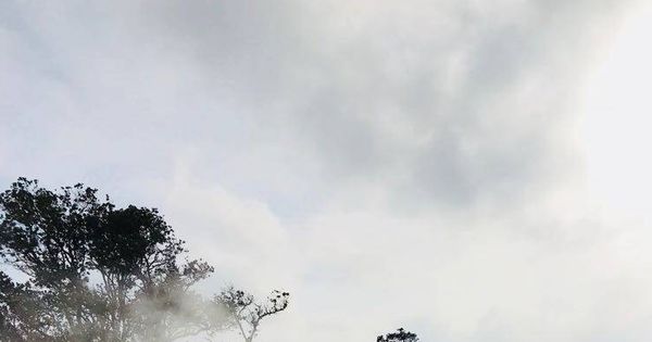 Foto:  El geólogo tras una fumarola del volcán hawaiiano (Daniel Pastor)