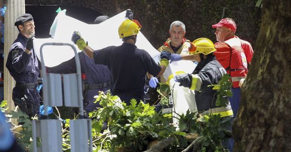 Foto: Bomberos y trabajadores de los equipos de rescate trabajan en el lugar en que un árbol ha caído matando a varias personas. (EFE)