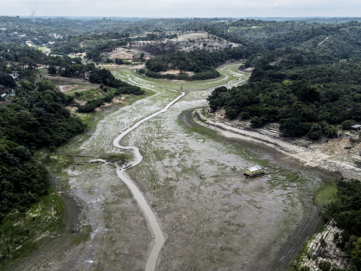 Foto: Fotografía del Lago do Aleixo afectado por la sequía, el 25 de octubre de 2022, en el Amazonas, en Manaos (Brasil). (EFE/Raphael Alves)