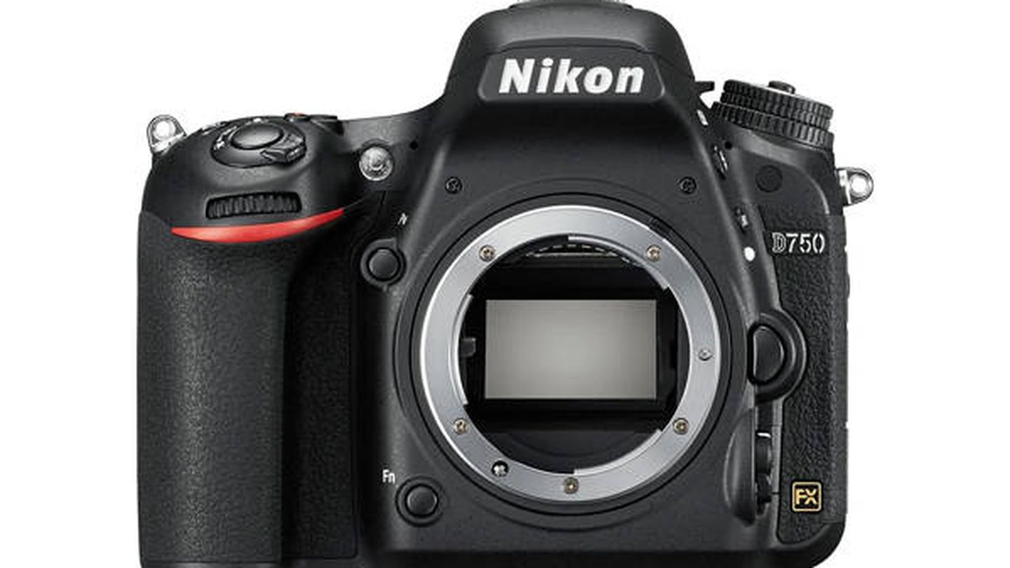 Las cámaras réflex del mercado para hacer fotos de calidad profesional
