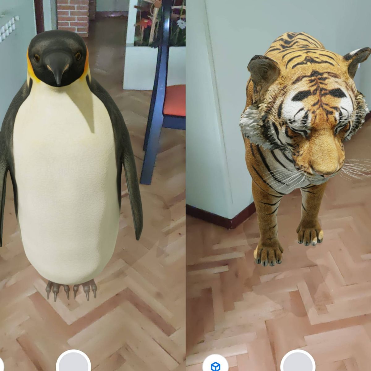 Cómo ver los animales 3D de Google en iPhone y Android: leones, tiburones y  tigres a