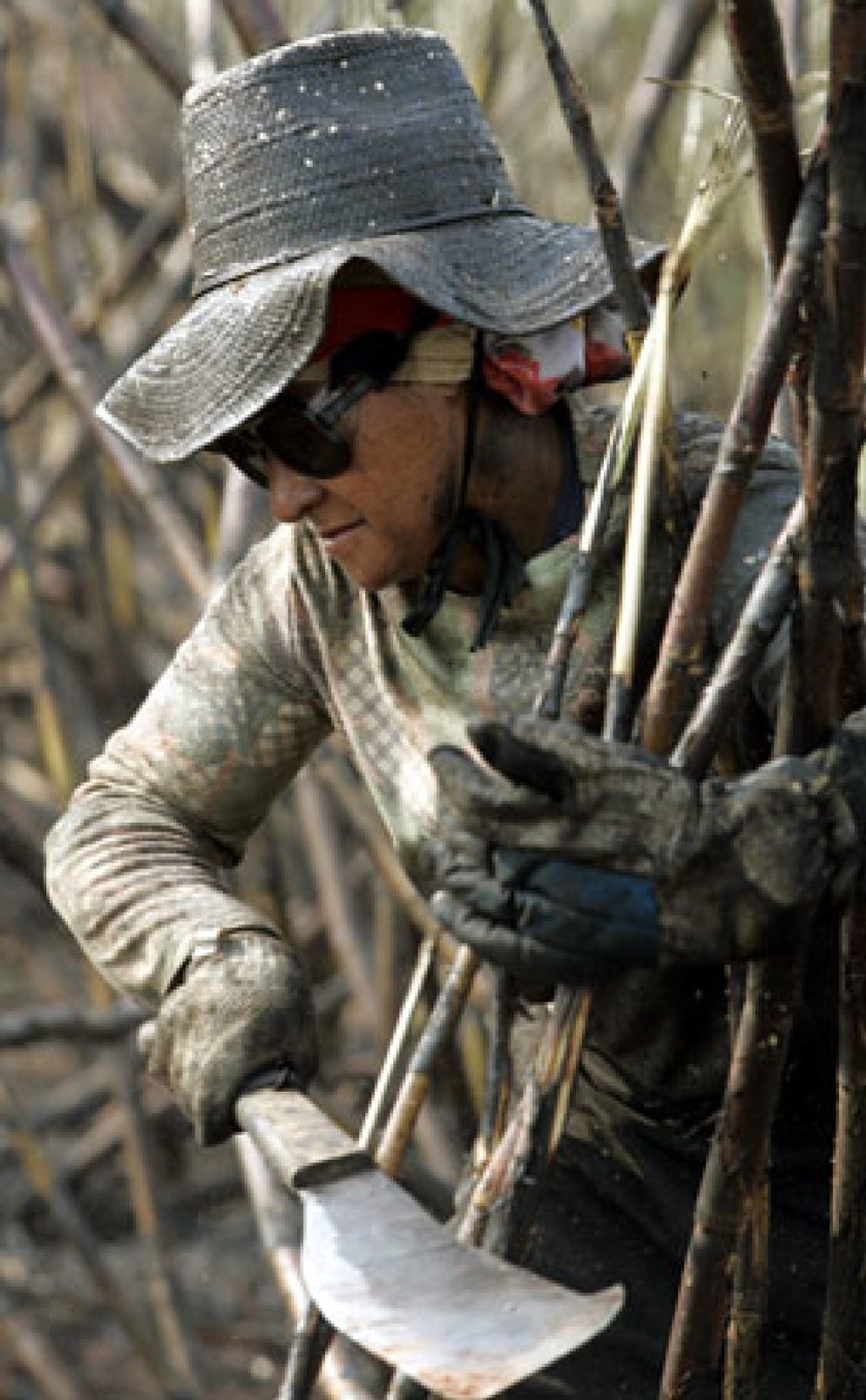 Foto: Esclavos del etanol