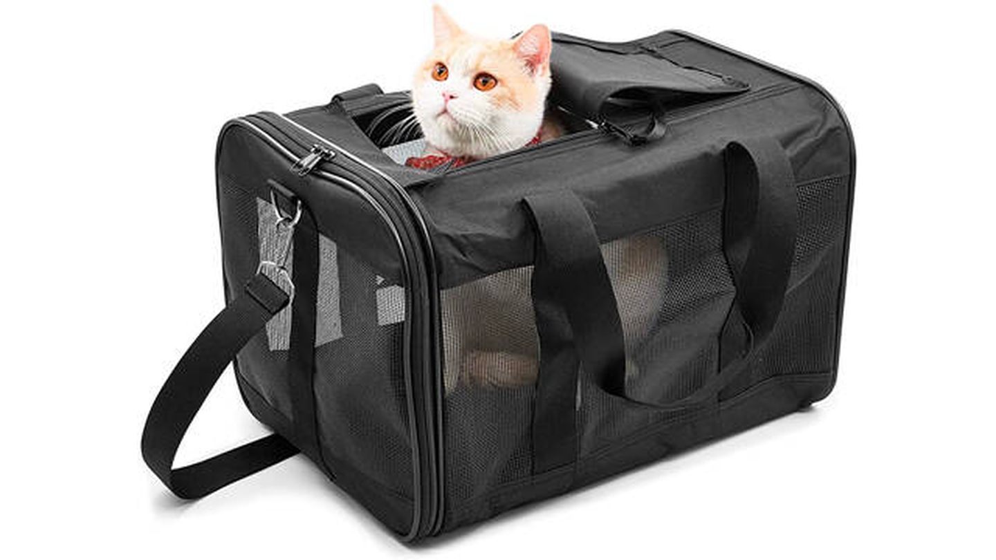 Transportines de viaje para mascotas