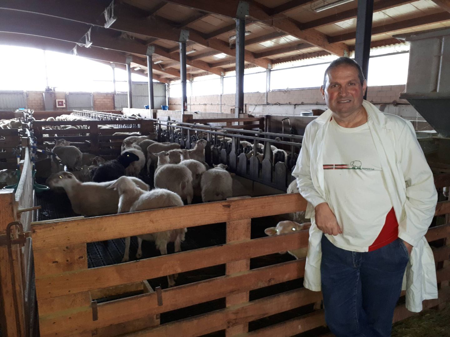 El coordinador de la Escuela de Pastores del País Vasco, Batis Otaegi, posa ante unas ovejas de la explotación. (J. M. A.)