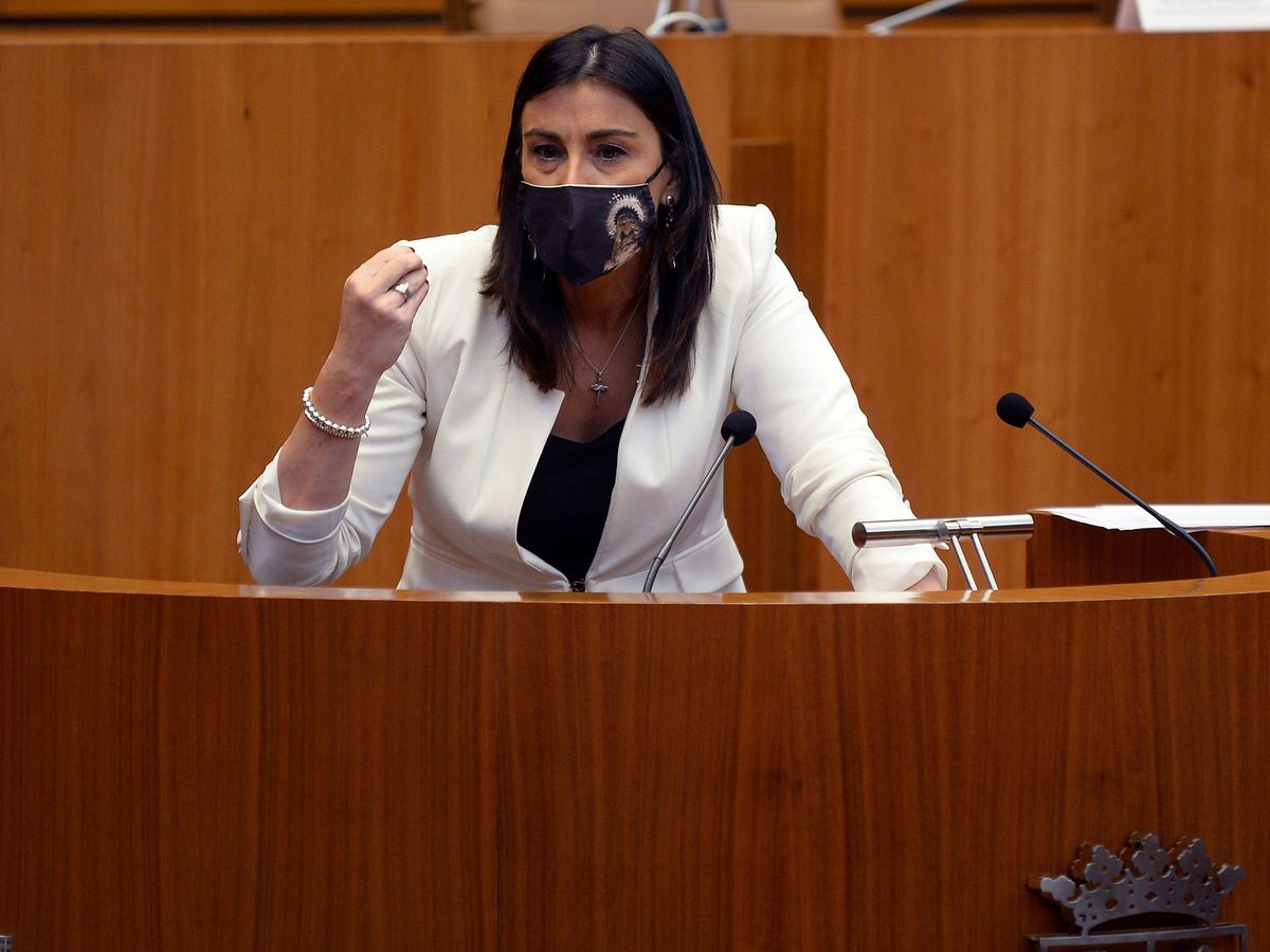 Foto: La procuradora socialista, Ana Sánchez. (EFE)