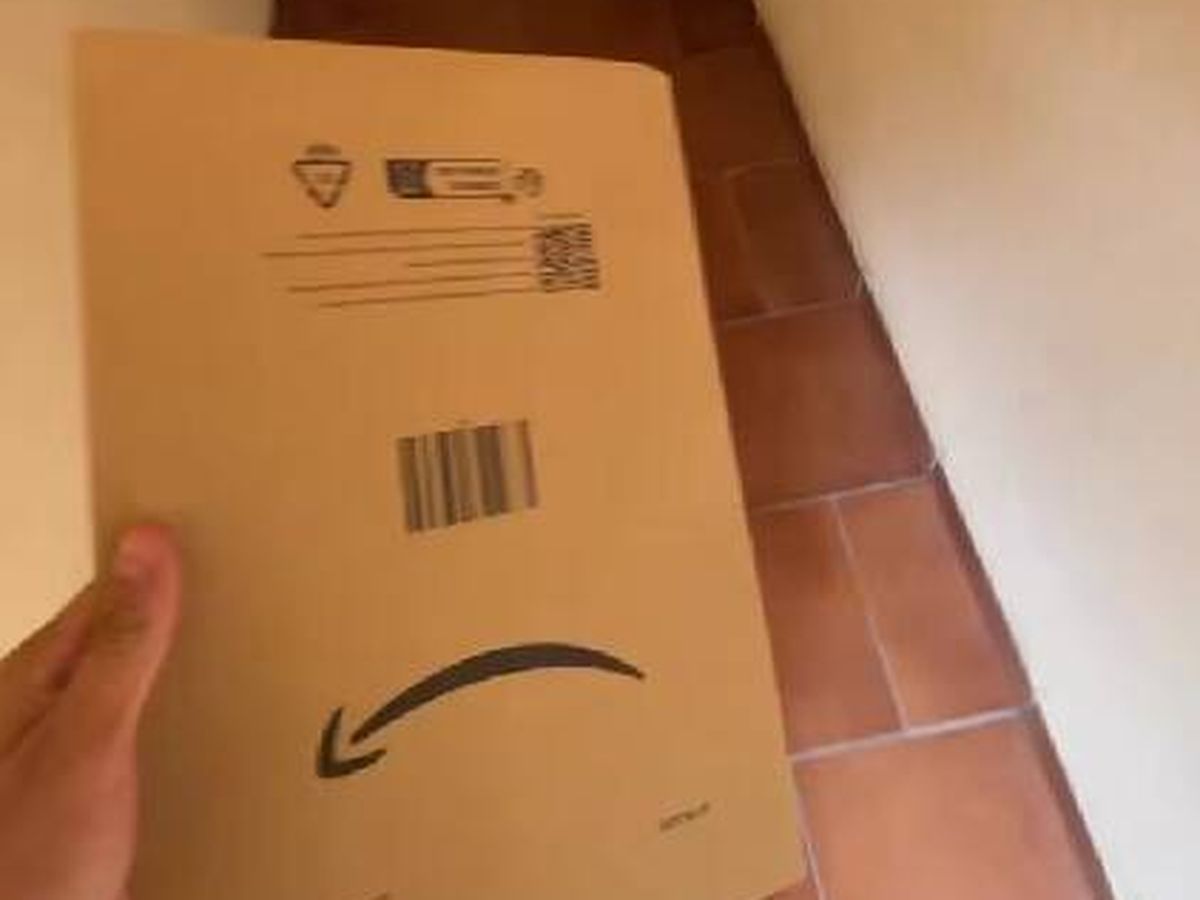 Foto: Un repartidor de Amazon cuenta lo que se encontró en la puerta de una casa: "Me ha dado cosilla".(TikTok)