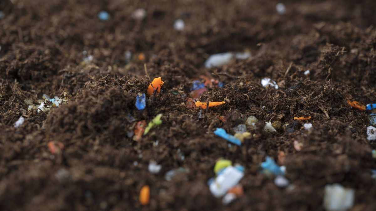 ¿Qué es un microplástico y cómo puede afectar a la salud?