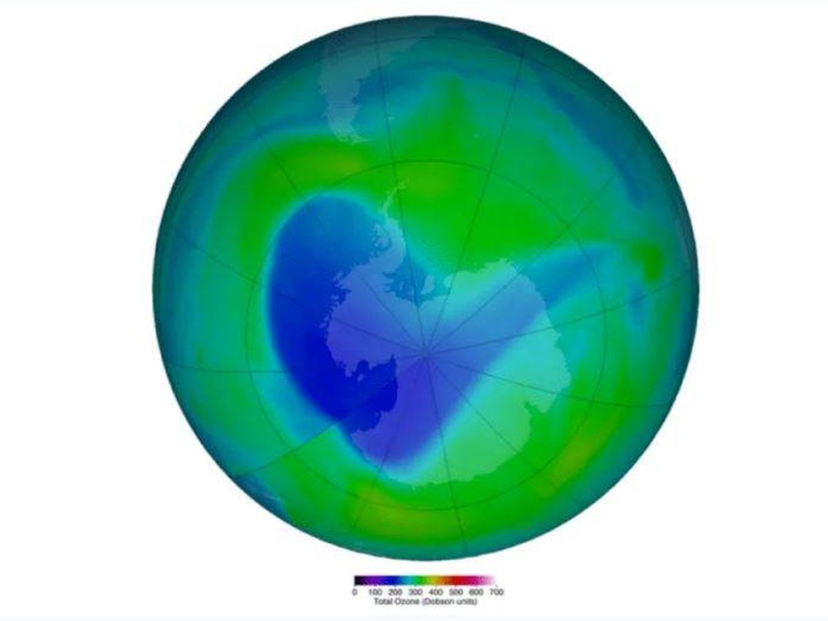 Foto: El agujero de la capa de ozono en enero de 2021. (NASA)