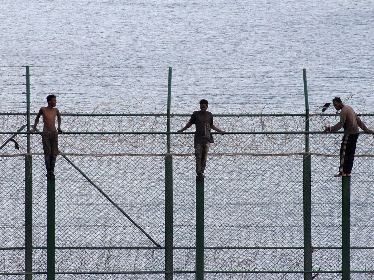 Foto: Varios migrantes se encaraman al alambrado en su deseo de entrar en España. (EFE/Reduan Dris Regragui)
