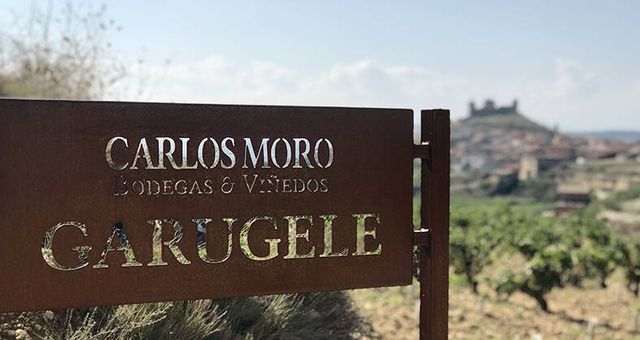 Viña Garugele, distinguida por la DOCa Rioja con 'viñedo singular'. (Cortesía)
