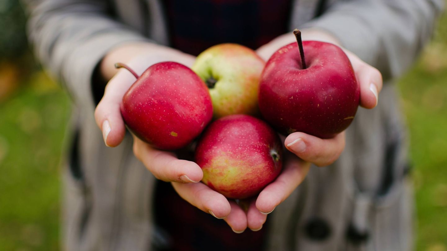 La manzana es una fruta muy completa. (Aarón Blanco Tejedor para Unsplash)