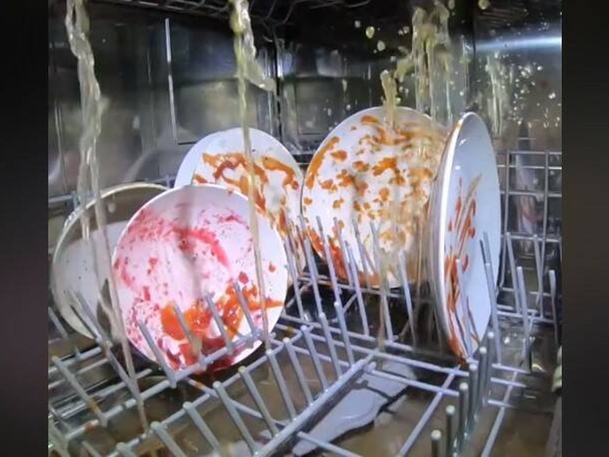 Foto: ¿Qué pasa dentro del lavavajillas cuando está en funcionamiento? Una cámara en el interior desvela el misterio