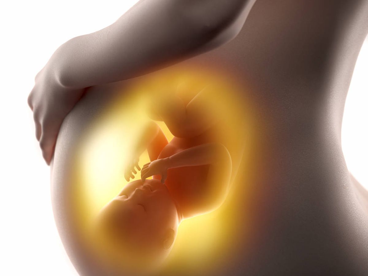 Foto: Una mujer embarazada. (iStock).