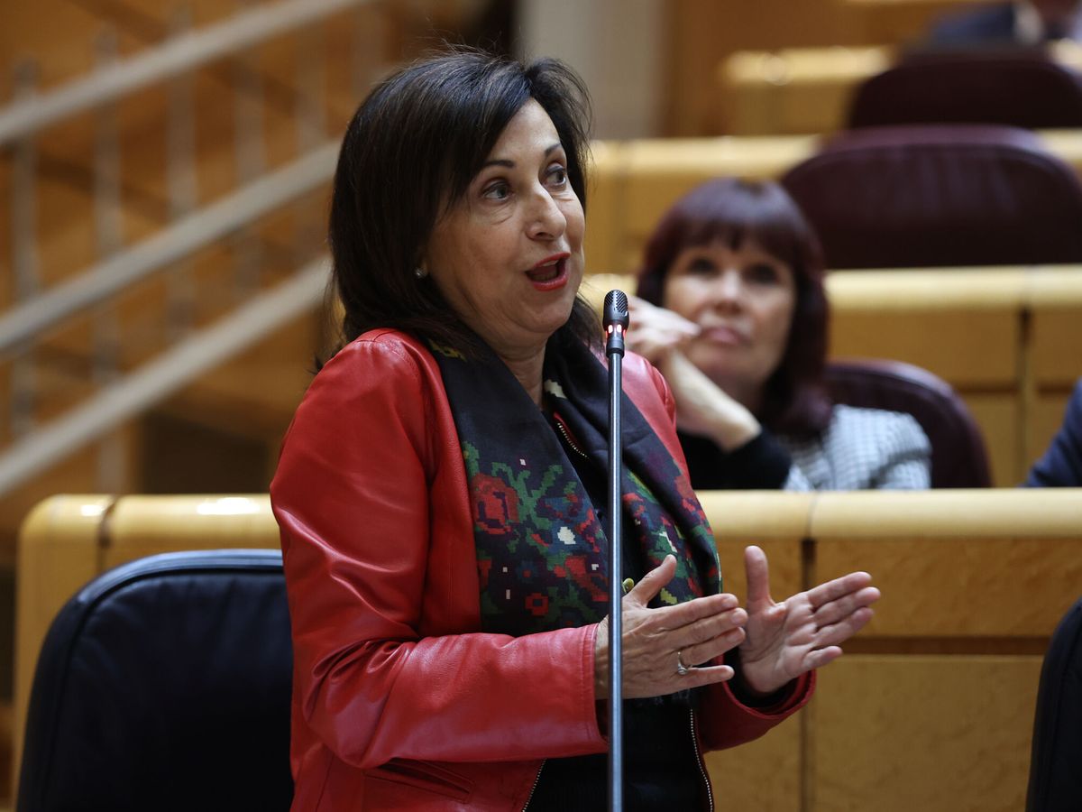 Foto: Margarita Robles en el Senado. (EFE/Kiko Huesca)