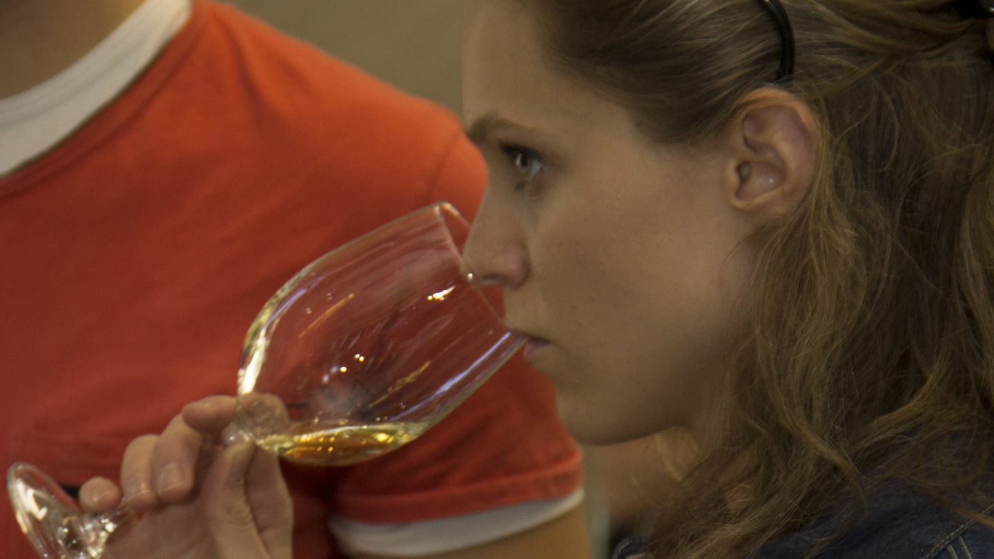 Hay que probar el vino antes de decidirse.  (EFE/Julio César Rivas)