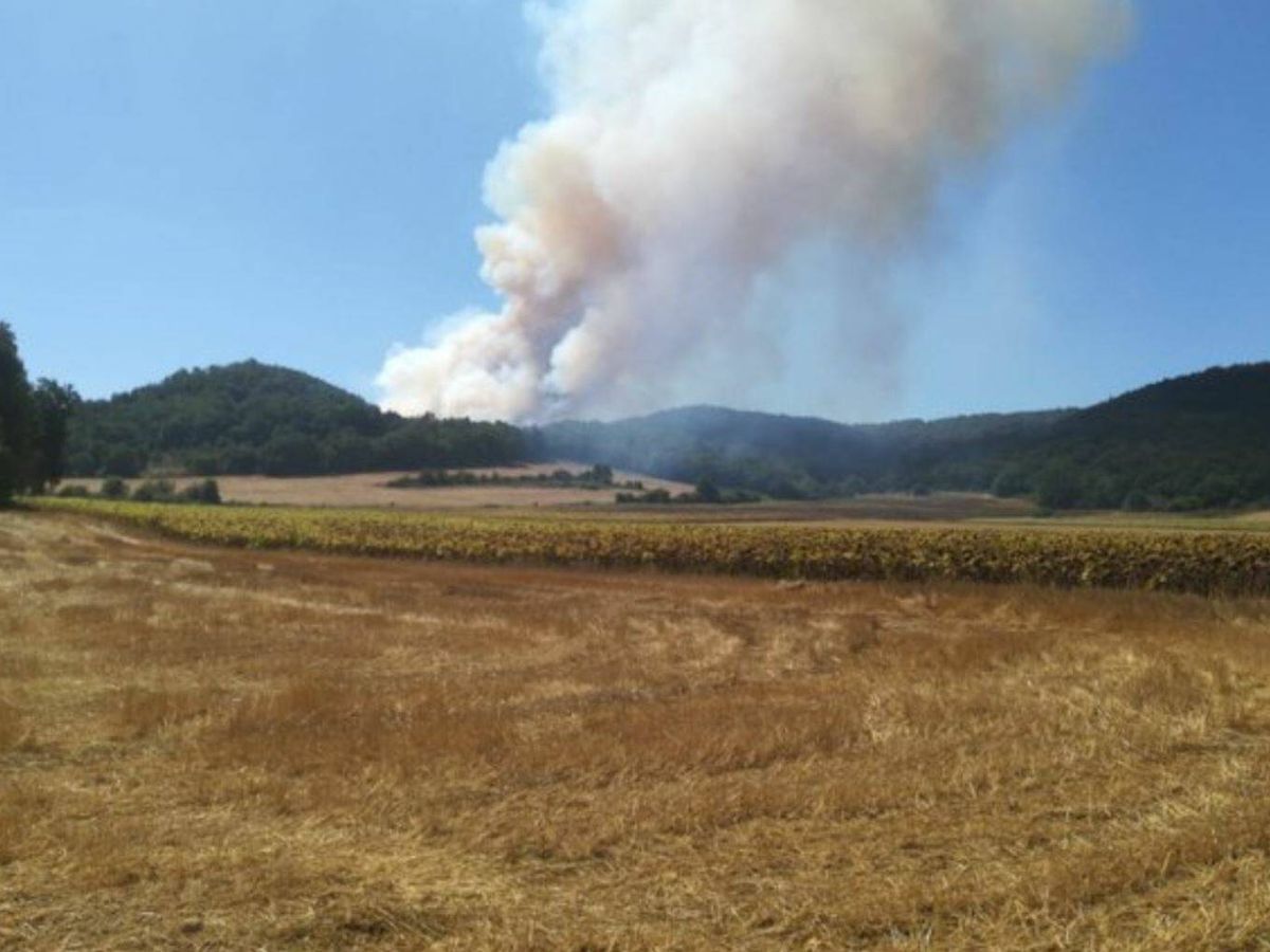 Foto: Imágenes del incendio en la provincia de Burgos. (Junta de Castilla y León)