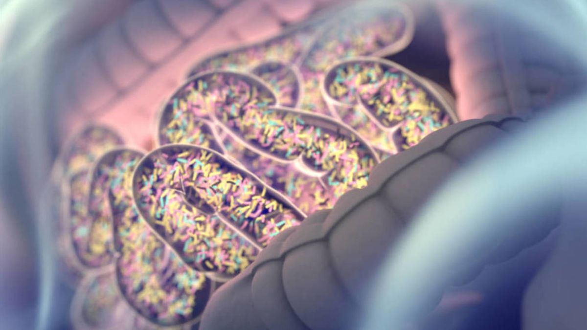 Tu ADN cambia tu microbiota: el descubrimiento que lo transformará todo