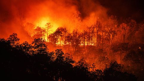 El problema de los incendios forestales no termina cuando la tierra queda devastada