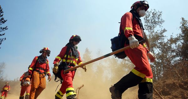 Foto: Soldados españoles, durante los trabajos para combatir los incendios forestales que afectaron a la localidad de Hualqui en Chile. (EFE)