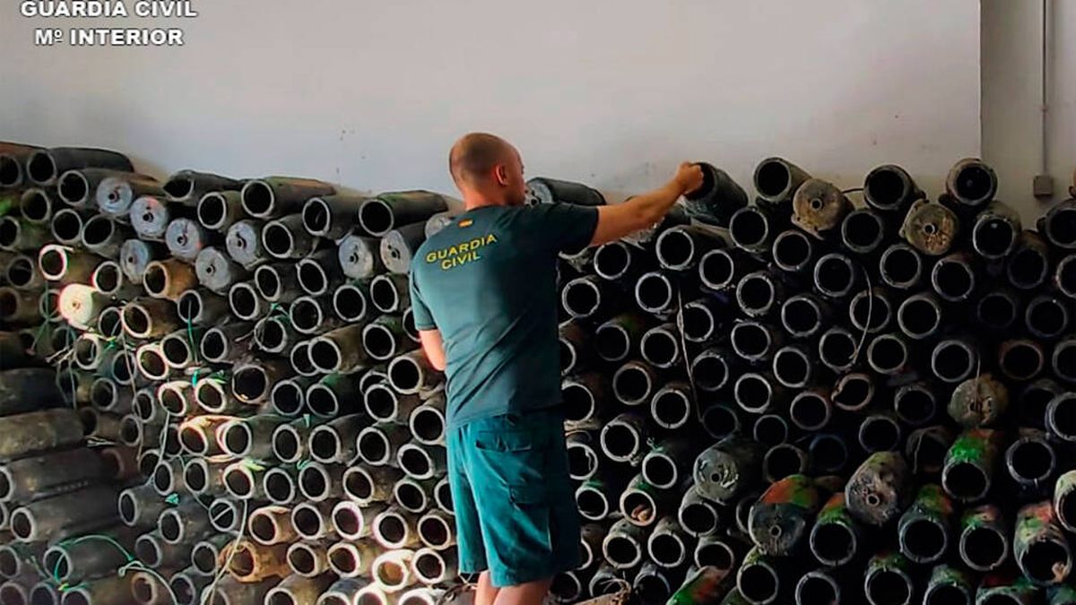 Liberan 260 kilos de pulpos vivos atrapados en casa de un furtivo en Santoña