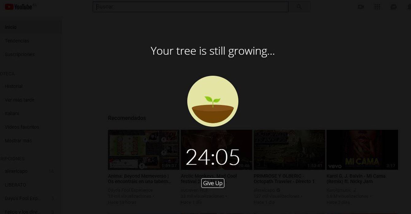 Una planta en pleno crecimiento nos bloquea el paso a nuestras webs más adictivas