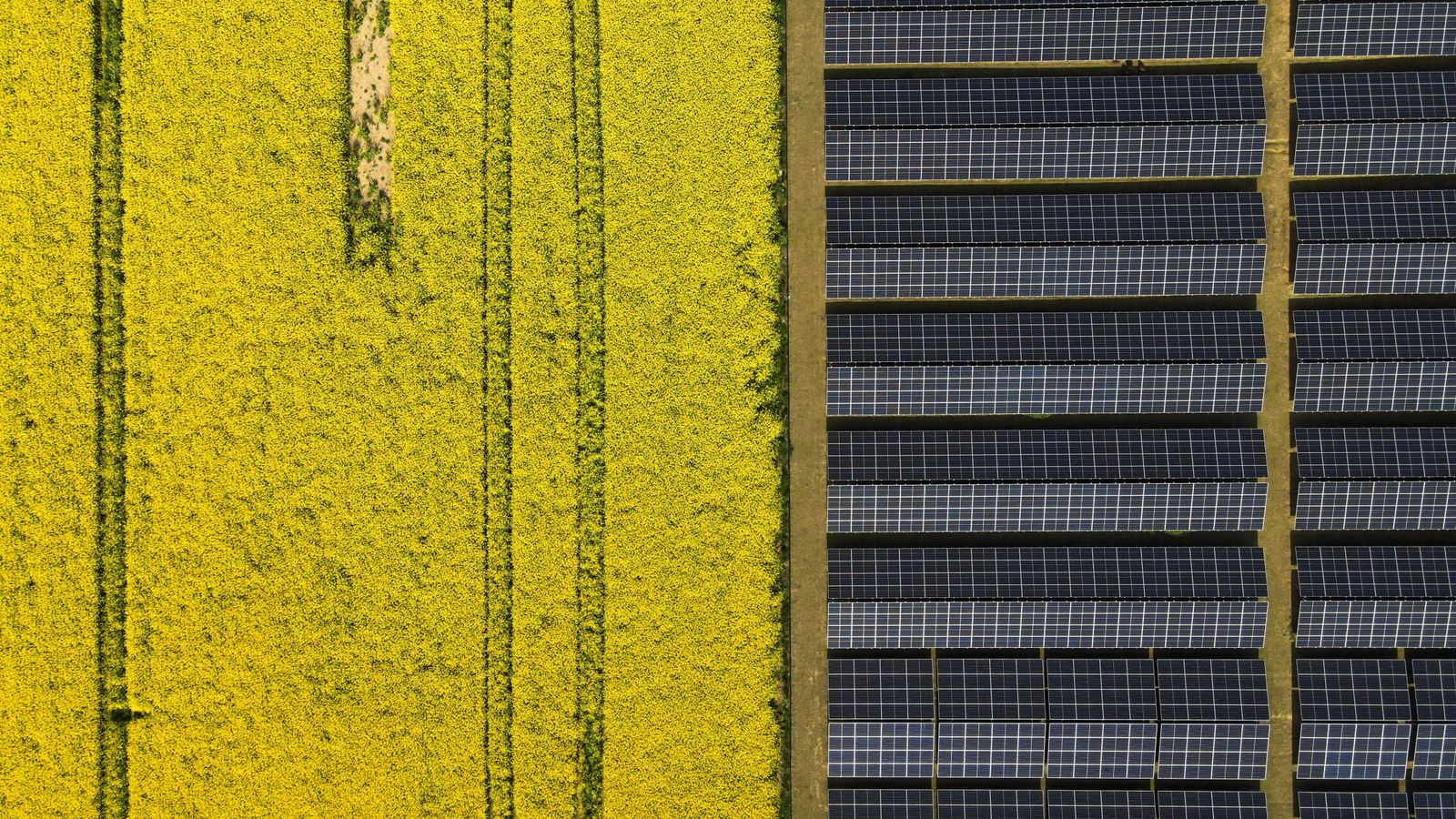 Reino Unido estudia el aire y encuentra un 'enemigo invisible' que sabotea hasta un tercio de la producción de los paneles solares