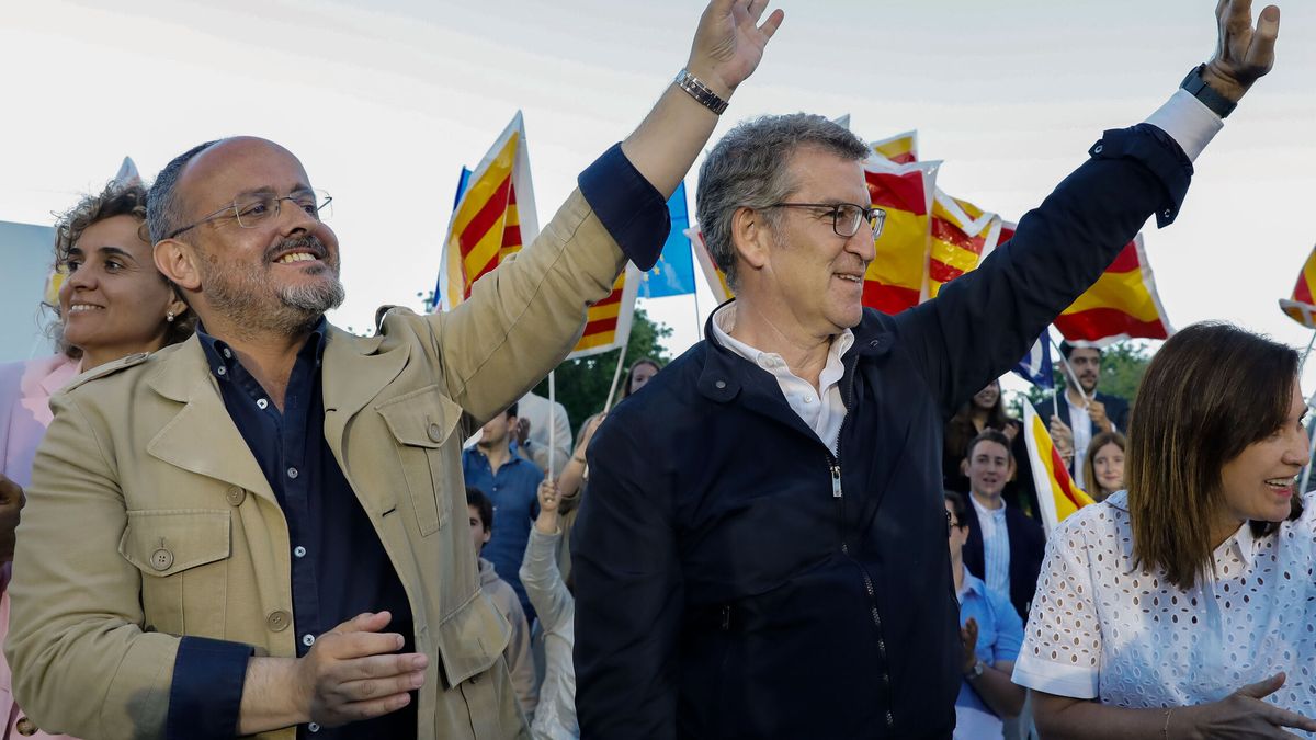 Euforia en el PP: quintuplica sus resultados en Cataluña y da el sorpaso a Vox
