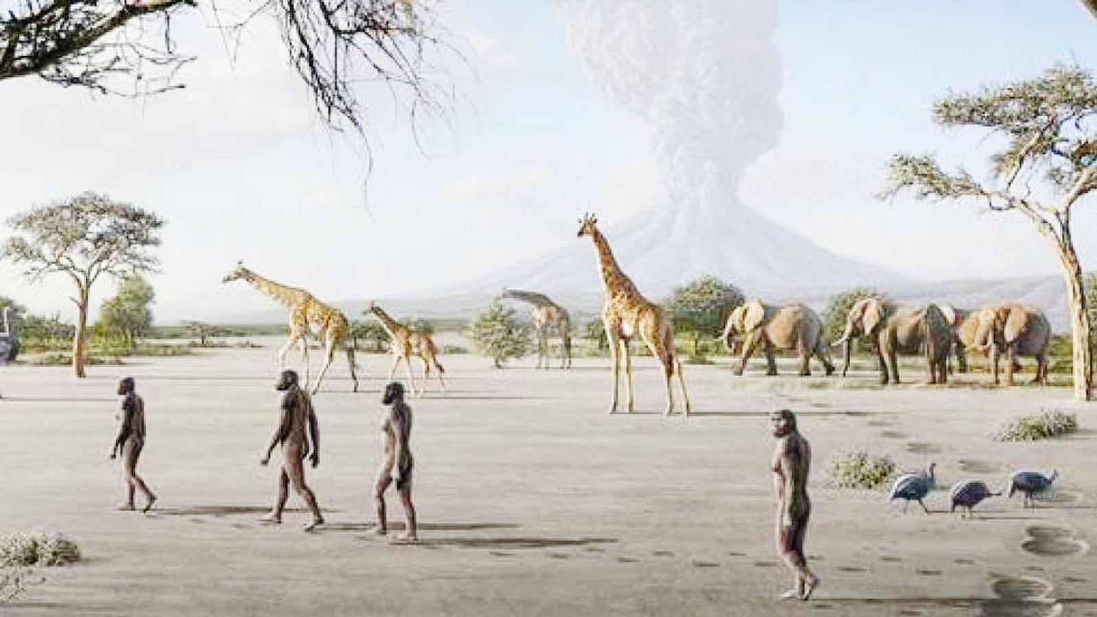 Foto: Recreación de los antecesores de nuestra especie que dejaron sus huellas en Laetoli hace más de tres millones de años