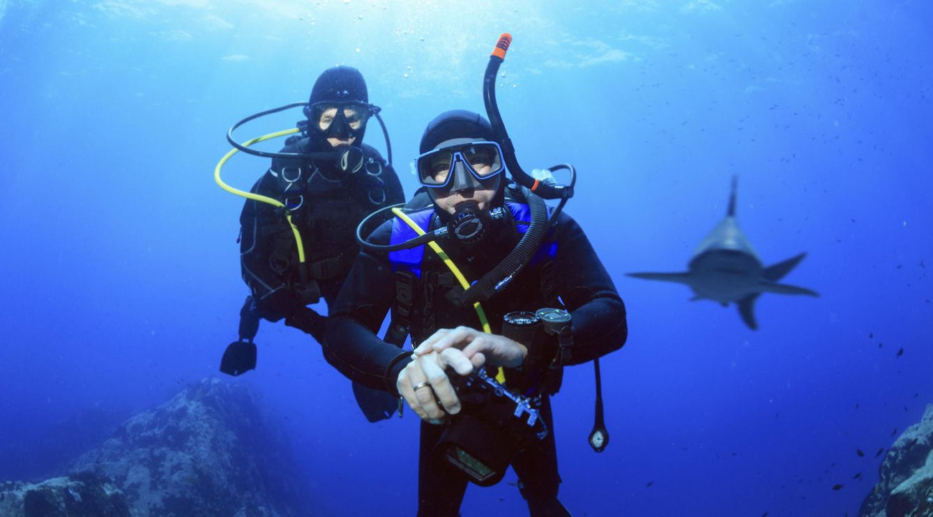 Bucear entre tiburones es una de las actividades que más nos atraen. (iStock)