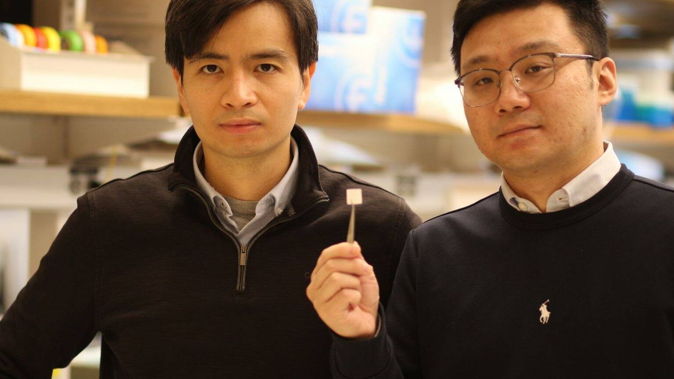 Foto: Los investigadores Thanh Nguyen (izq) y Yang Liu con su tejido regenerador. (Thanh Nguyen)) 