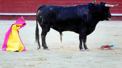 Investigan si una novillada celebrada en Segovia incumplió el estado de alarma