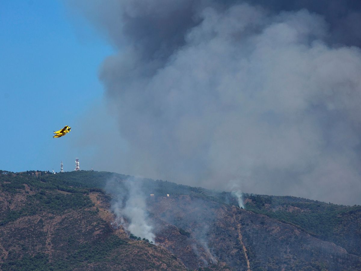 Foto: Un hidroavión sobrevuela la zona quemada por el fuego del incendio de Sierra Bermeja. (EFE)