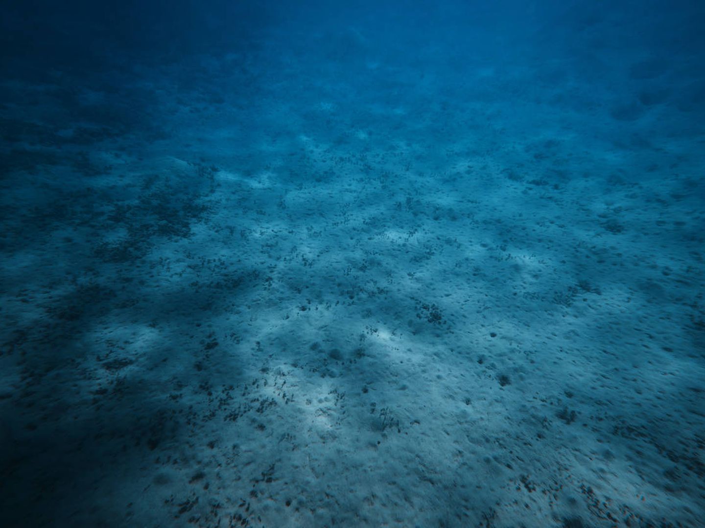 El suelo oceánico, un auténtico misterio. (iStock)