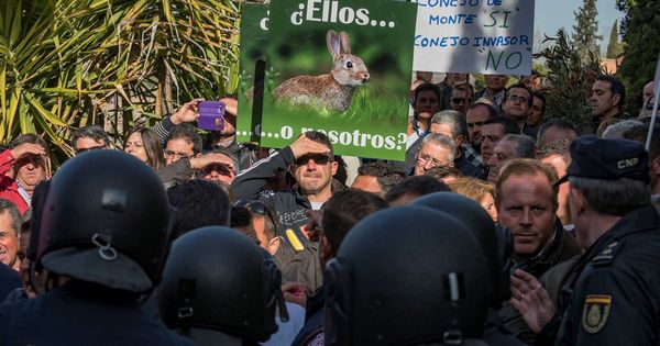 Foto: Tensión en una manifestación de agricultores damnificados por la plaga de conejos en Toledo, Castilla-La Mancha, en una imagen de archivo. (EFE)