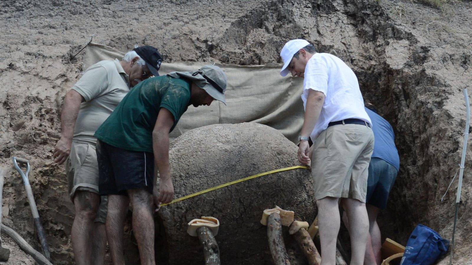 Foto: Dos veterinarios hallan al norte de Uruguay un gliptodonte de 10.000 años (EFE)