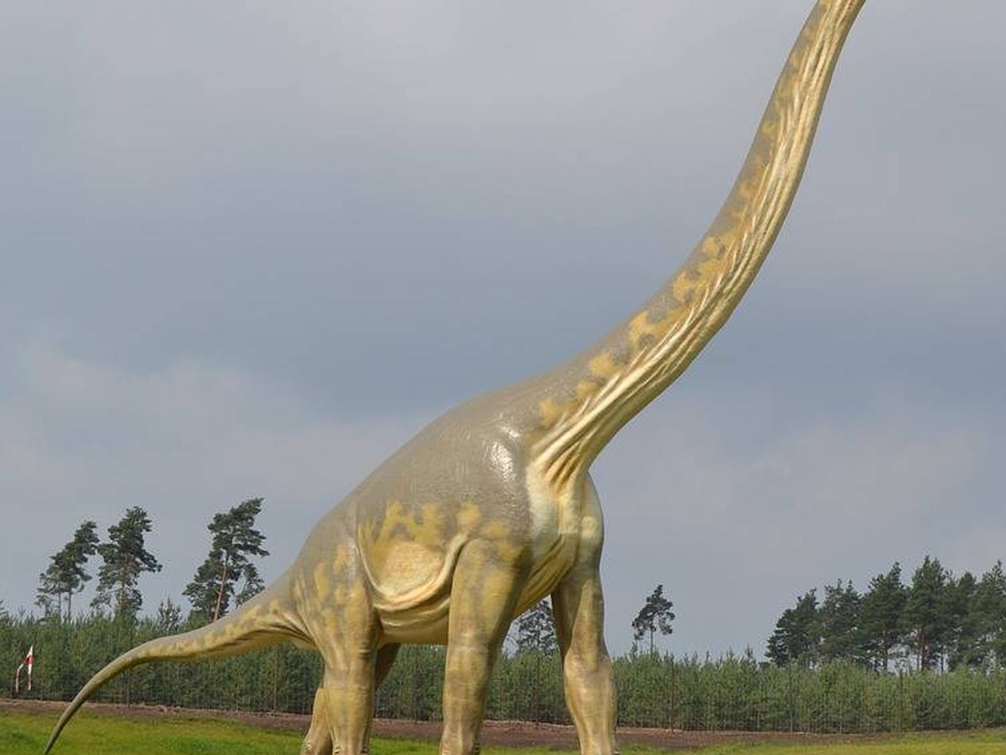 Una reproducción de un brontosaurio, una de las tres especies de saurópodos conocidas. (Pixibay)