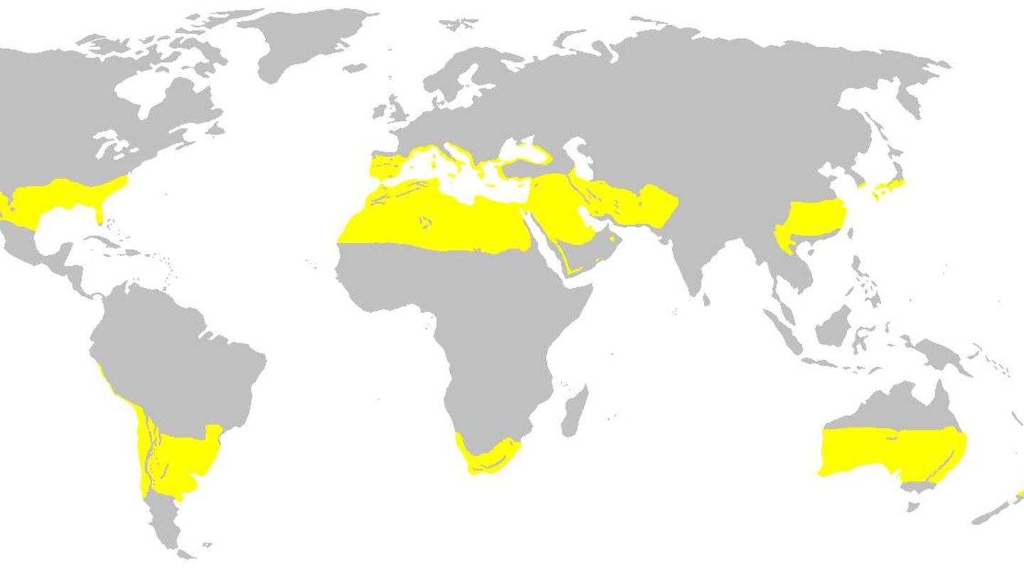 En amarillo, las regiones subtropicales. Como consecuencia del cambio climático, van ampliándose hacia el norte y hacia el sur. (Instituto Geografico De Agostini)