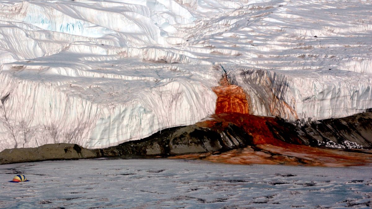Las Cataratas de Sangre, el fenómeno de la Antártida sin explicación durante un siglo