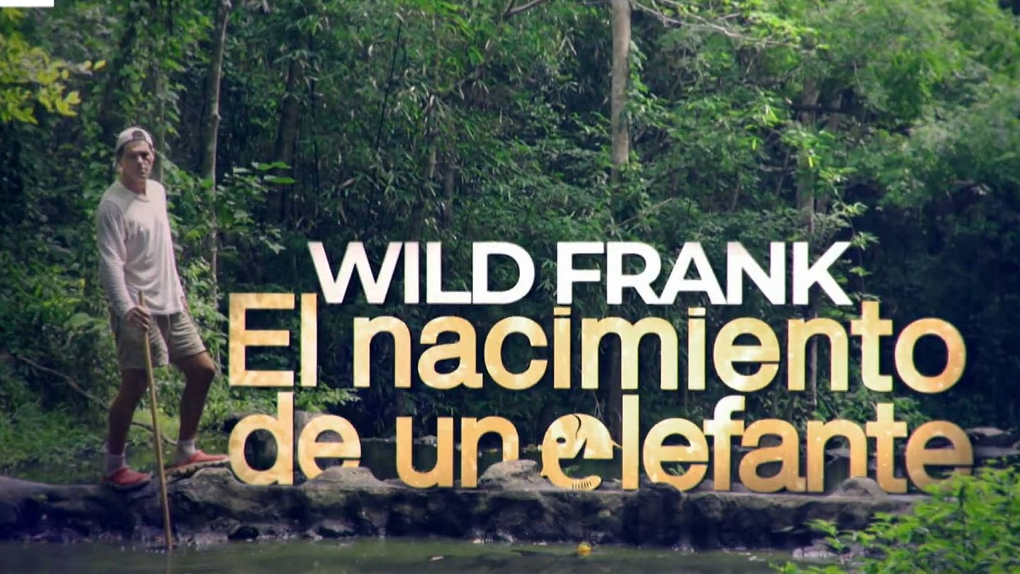 Logo de 'Wild Frank: el nacimiento de un elefante'. (DMAX)