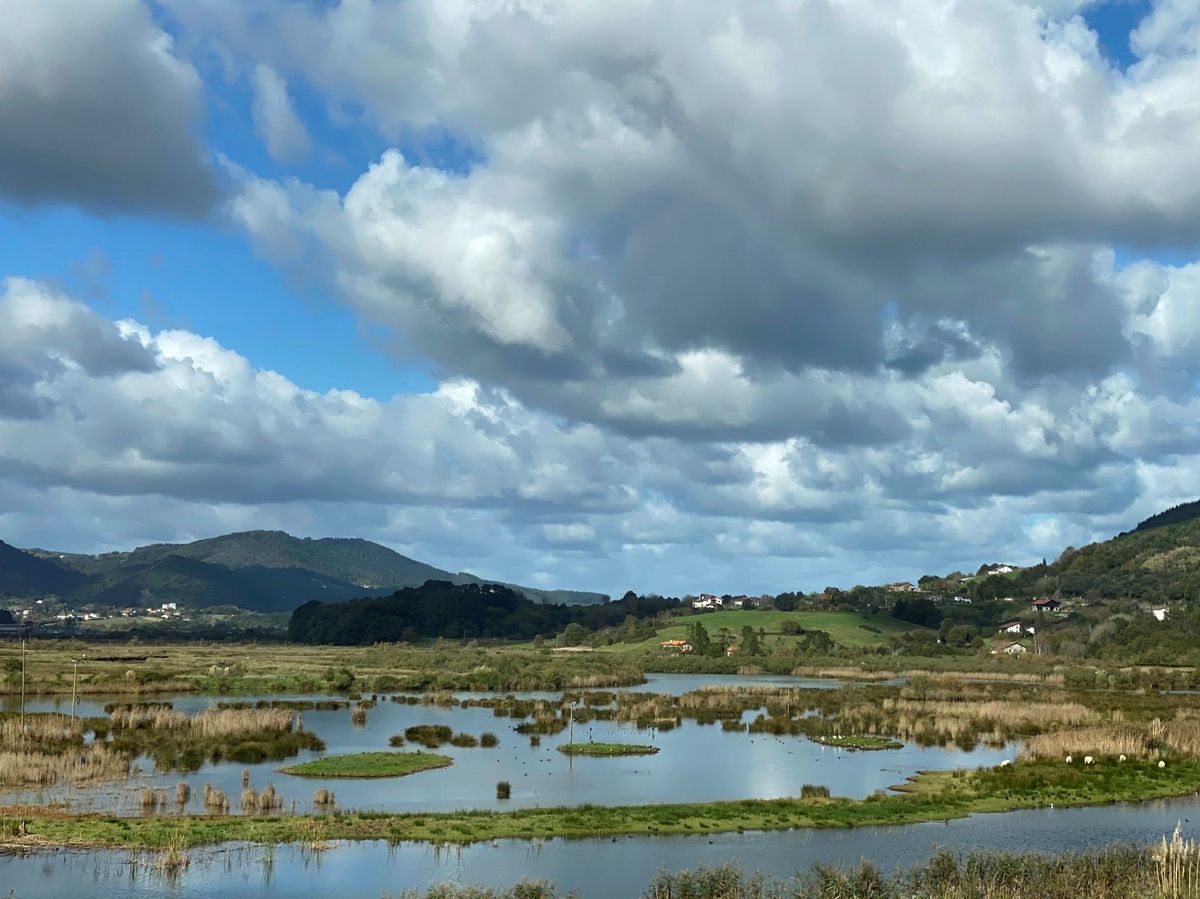 Foto: Reserva de la Biosfera de Urdaibai, en Vizcaya. (EFE)