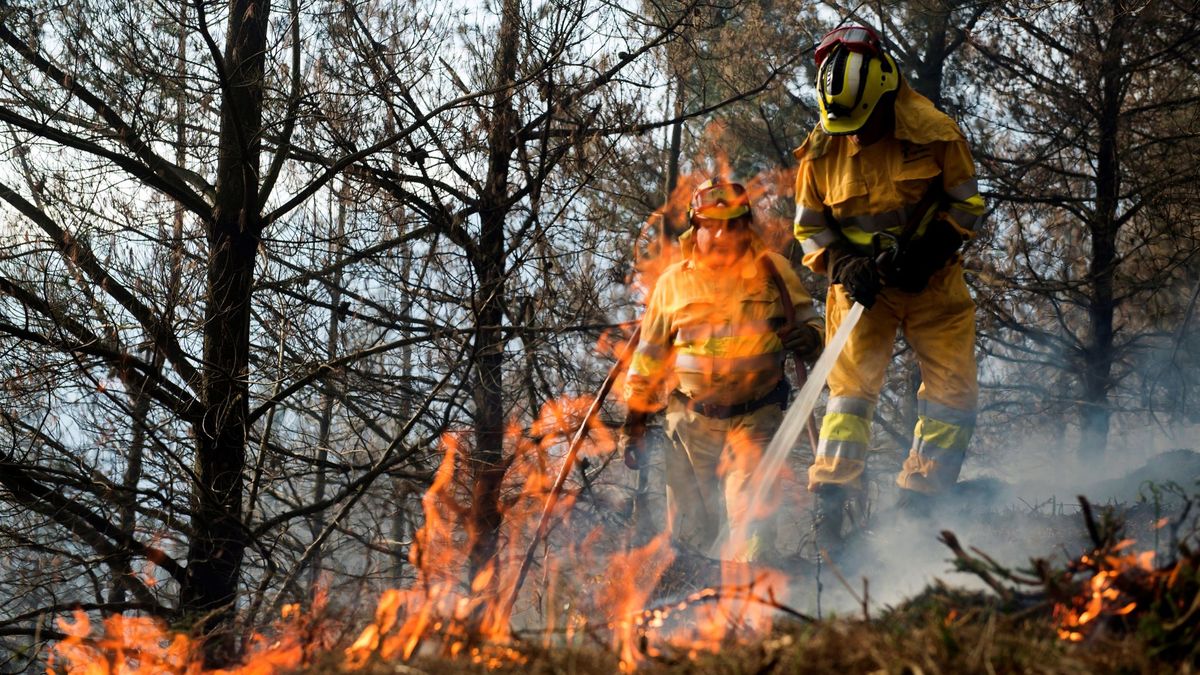 Cinco incendios forestales provocados en las últimas 24 horas en Cantabria