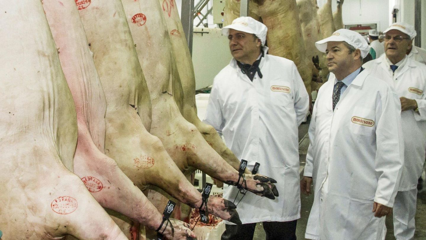 En los mataderos se toman muestra aleatorias para analizar la carne que se va a poner a la venta. (Efe)