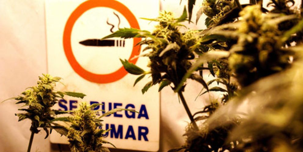 Foto: El 2% de los españoles gasta 100 euros al mes en cannabis