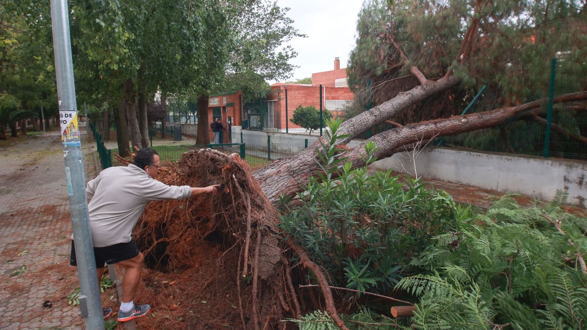 ¡Ya están aquí!: España debe prepararse para la llegada de ciclones tropicales